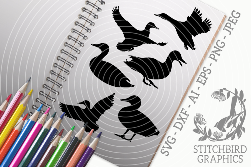 duck-bundle-svg-silhouette-studio-cricut-eps-dxf-ai