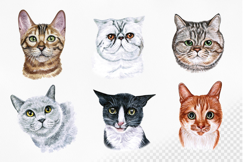 part-1-watercolor-cat-illustrations-cute-12-cats-kitty-meow