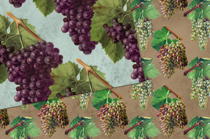 vintage-grapes-digital-paper