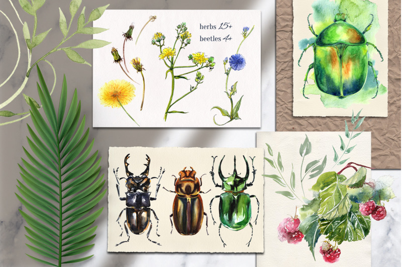 beetles-and-grass-watercolor-collection