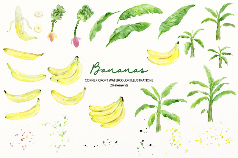 watercolor-banana-clipart