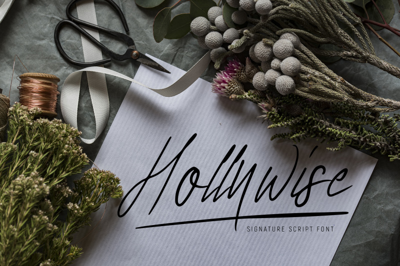 hollywise-signature-script-font