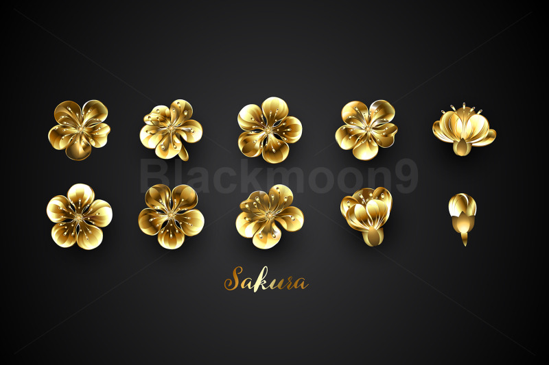 set-of-golden-sakura-flowers