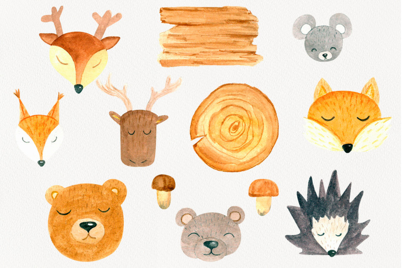 forest-animals-watercolor-clipart