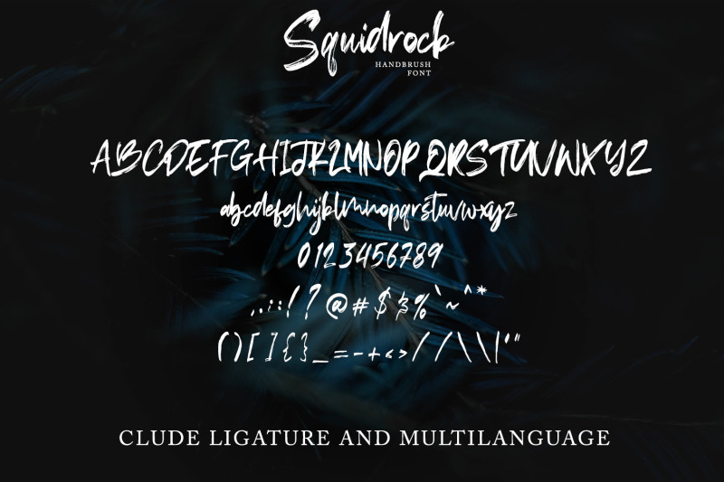 squidrock-handbrush-typeface