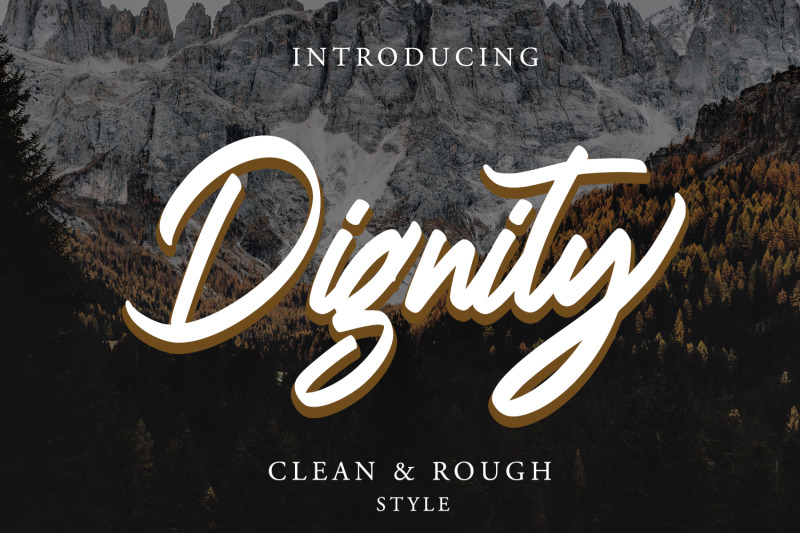 dignity-brush-typeface