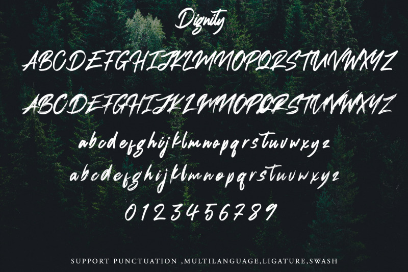 dignity-brush-typeface