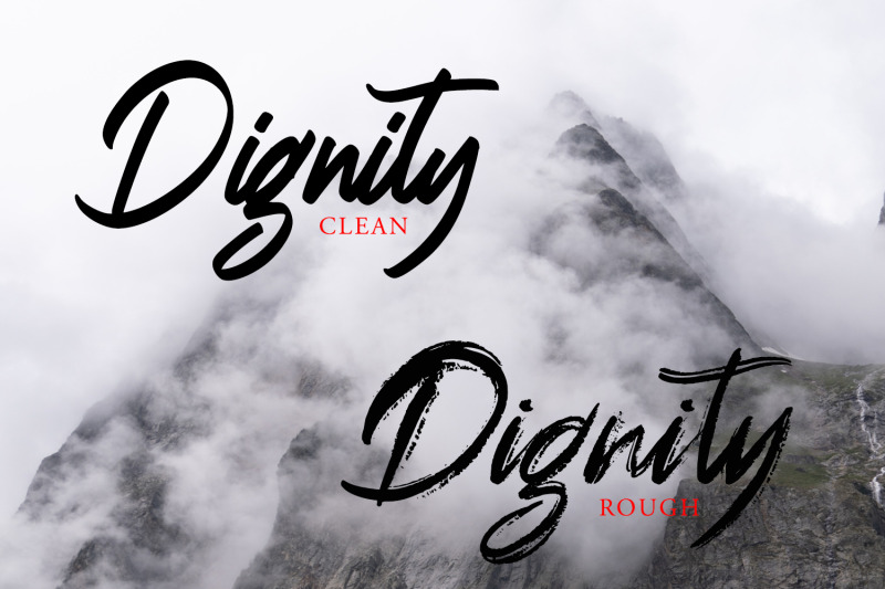 dignity-brush-typeface