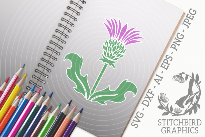 scottish-thistle-3-svg-silhouette-studio-cricut-eps-dxf-ai-png