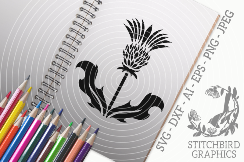 scottish-thistle-2-svg-silhouette-studio-cricut-eps-dxf-ai-png