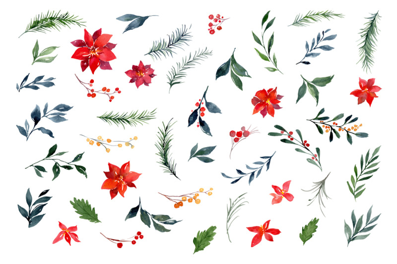 christmas-watercolor-flowers-leaves-branches-pine-fir-poinsettia