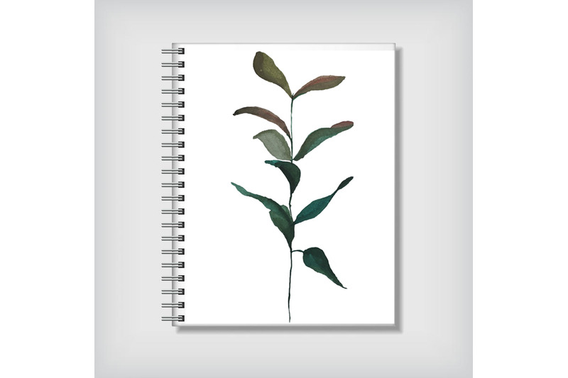 watercolor-botanical-illustration-green-leaf