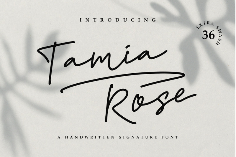 tamia-rose-signature-extra-swashes