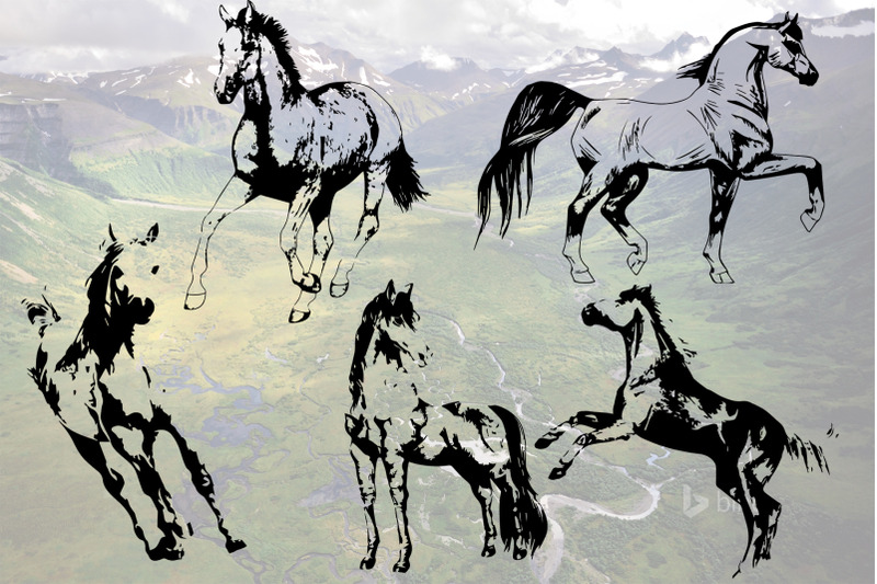 hand-drawn-horse-collection-2-vector