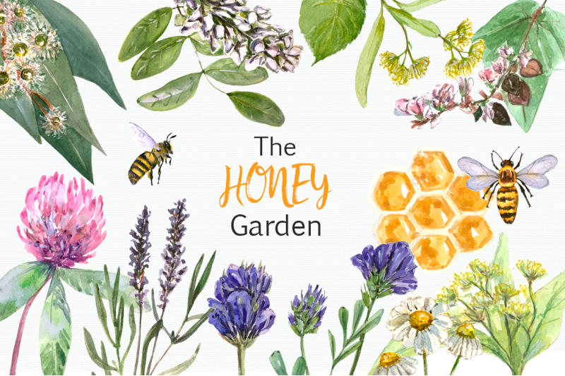 watercolor-honey-garden-clip-art