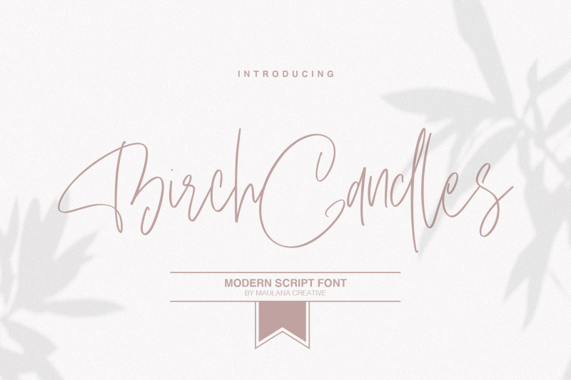 birch-candles-handwritten-font