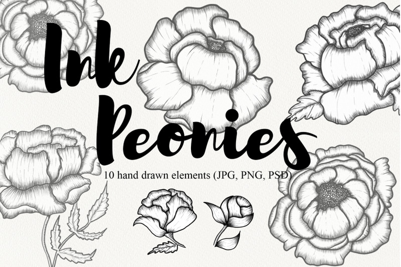 peonies-collection