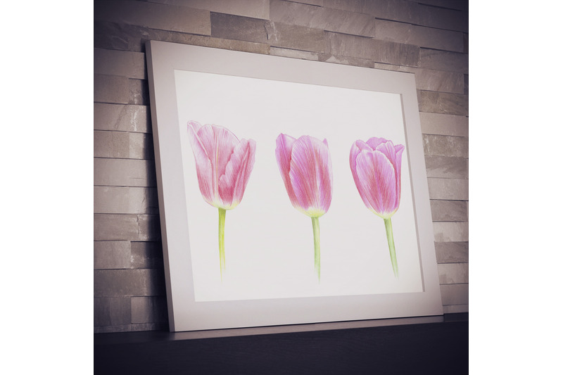 three-tulips