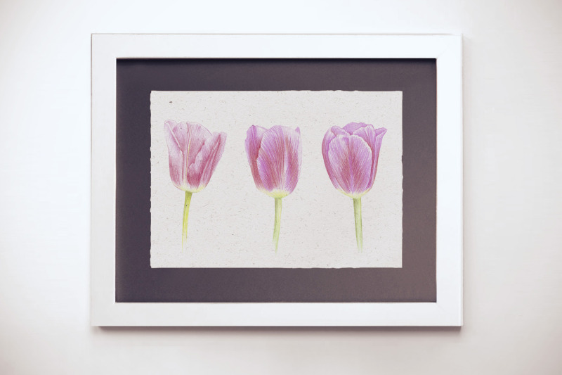 three-tulips