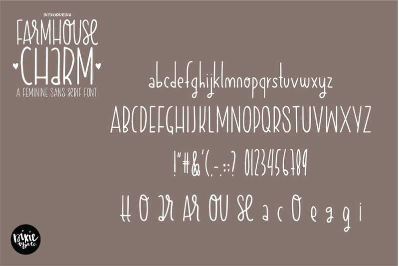 Farmhouse Charm A Skinny Sans Serif Font By Dixie Type Co Thehungryjpeg Com