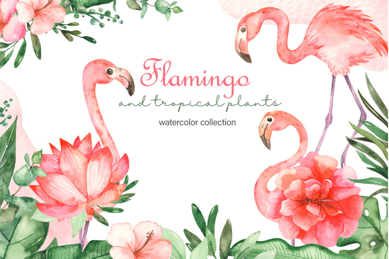 flamingo-and-tropical-plants-watercolor-collection