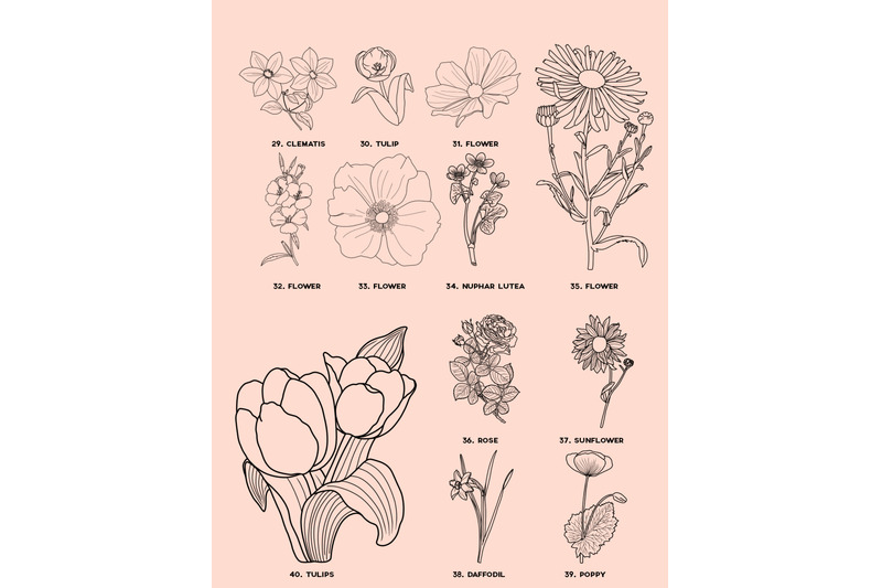 40-procreate-botanical-stamp-brushes