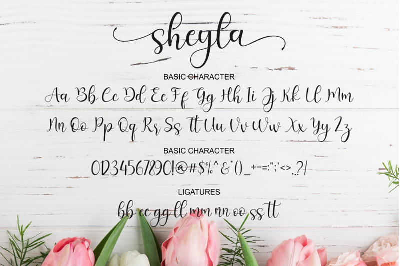sheyla-modern-script
