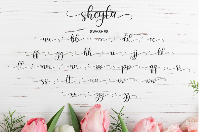 sheyla-modern-script