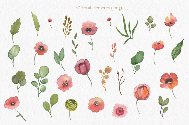 spring-florals-watercolor-floral-collection