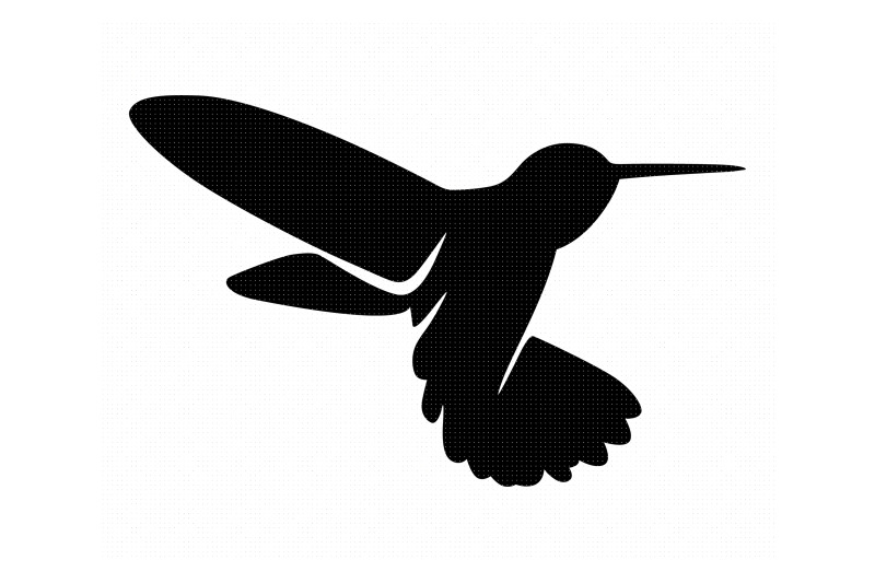 Download hummingbird svg, dxf, png, eps, cricut, silhouette, cut ...
