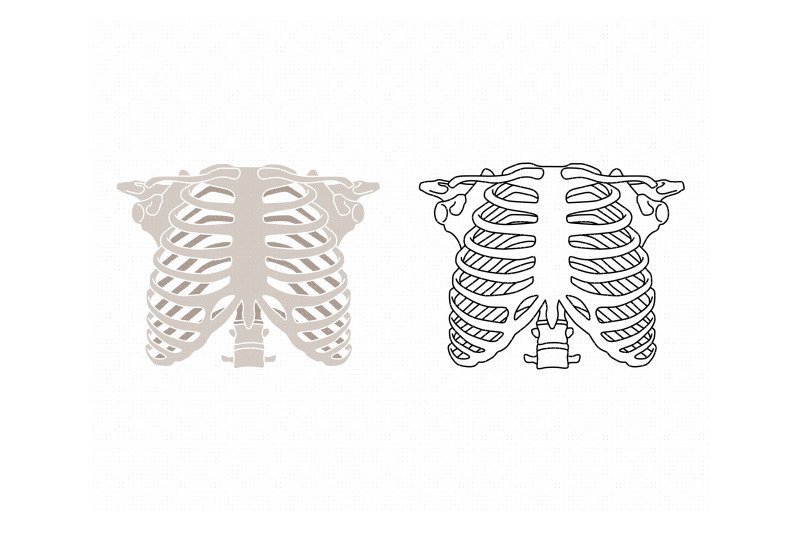 human-rib-cage-ribs-skeleton-svg-dxf-png-eps-cricut-silhouette