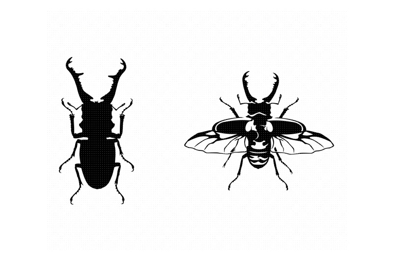 stag-beetle-svg-dxf-png-eps-cricut-silhouette-cut-file-clipart