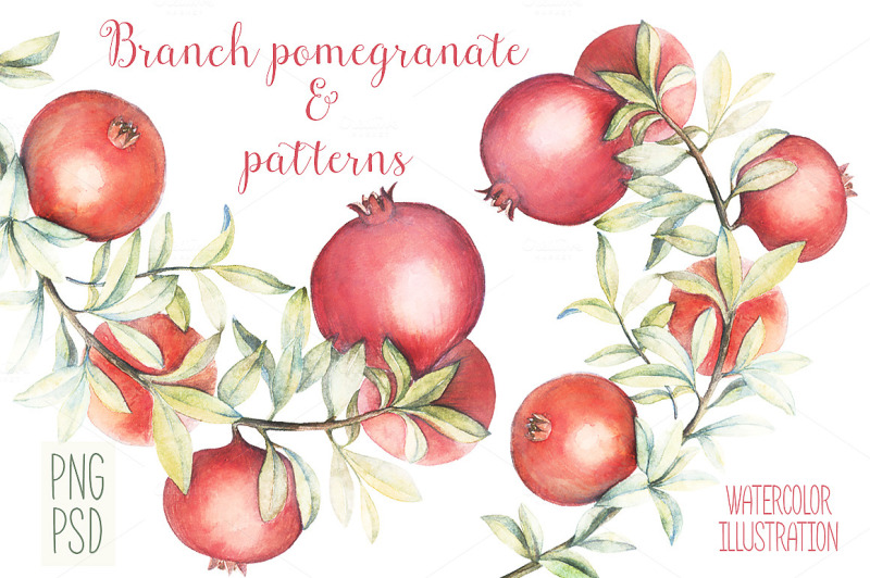 branch-pomegranate-and-patterns