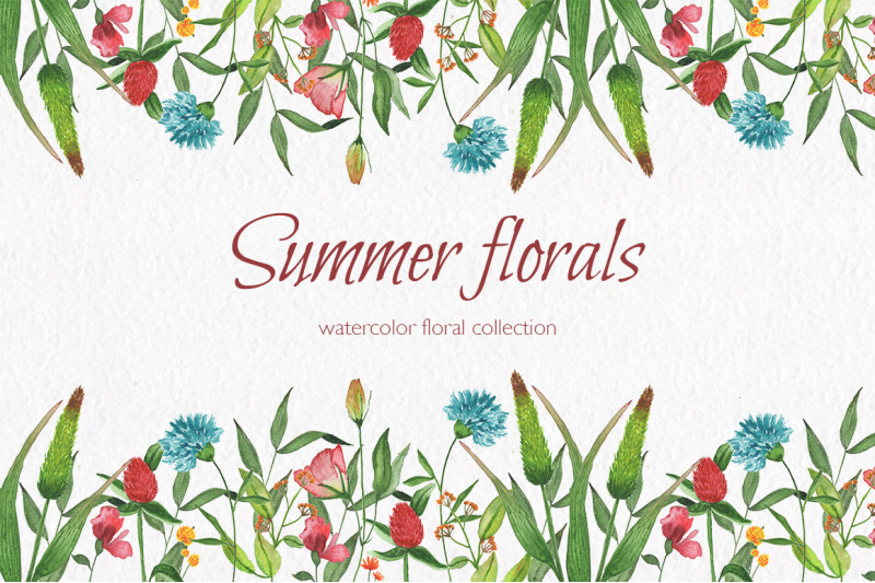 summer-florals-watercolor-floral-collection