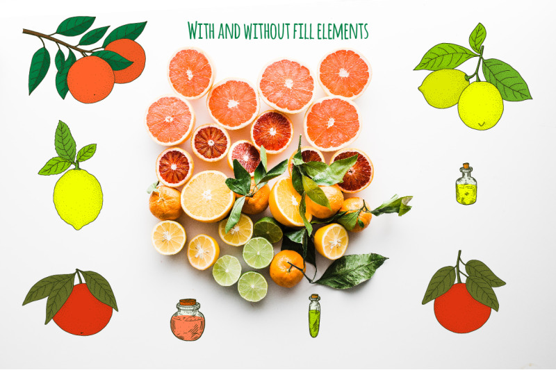 essential-oils-components