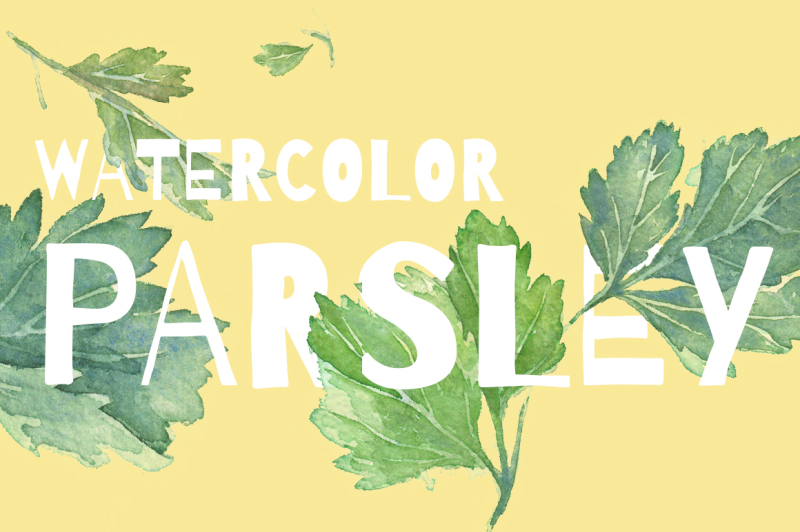 watercolor-parsley-artwork