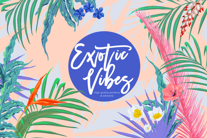 exotic-vibes-patterns-amp-creative-elements