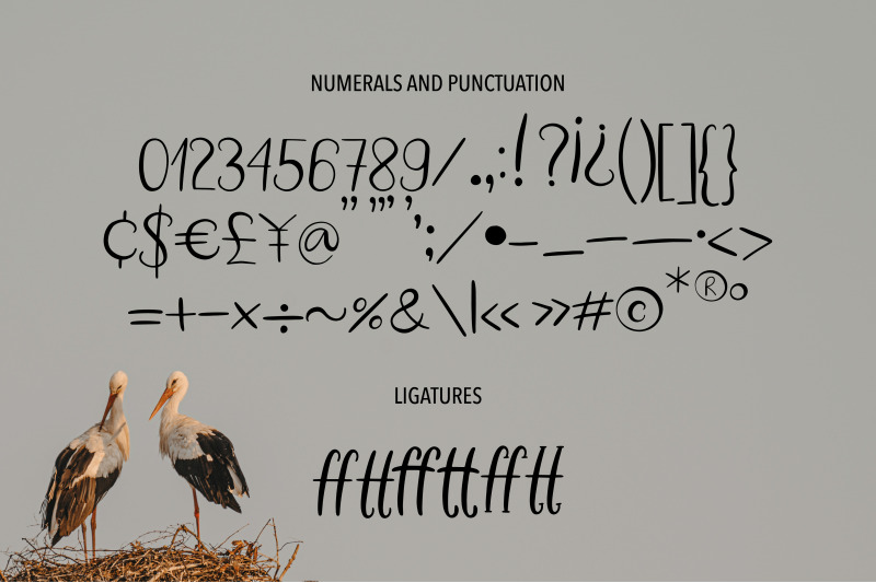 white-stork-a-handwritten-duo-font