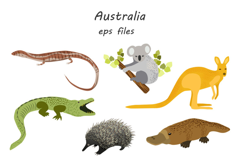 australian-animals