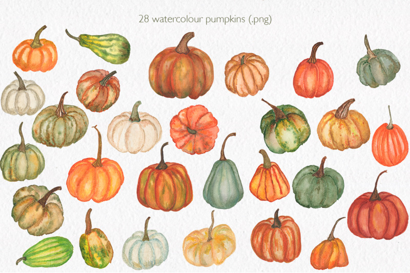 autumn-pumpkin-collection-watercolor-clipart