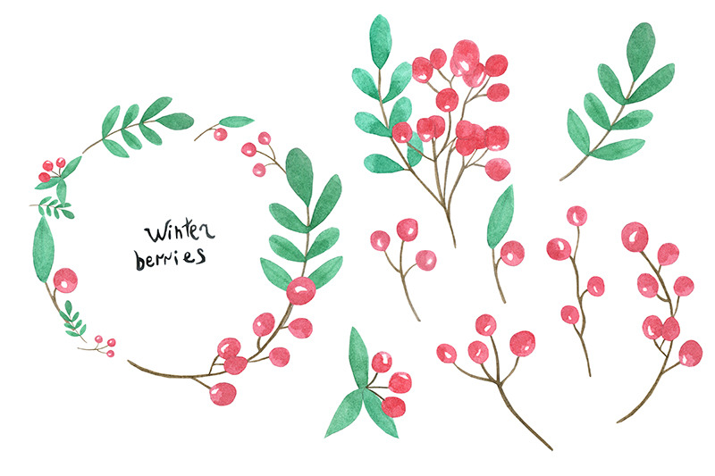 watercolor-set-with-winter-berries
