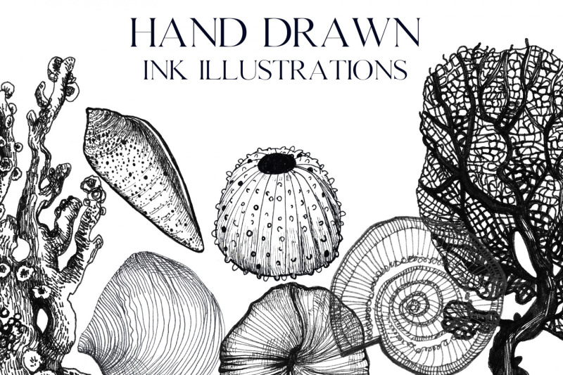 ink-hand-drawn-ocean-illustrations