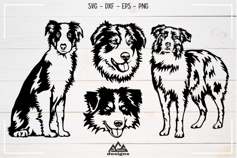Download Dog Australian Shepherd Svg Design By AgsDesign | TheHungryJPEG.com