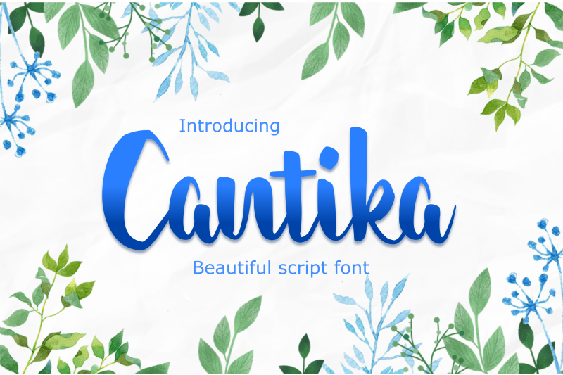 cantika-beautiful-script-font
