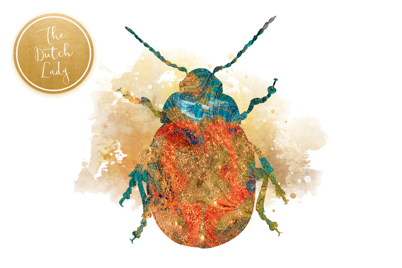 scarabs-amp-beetles-clipart-set