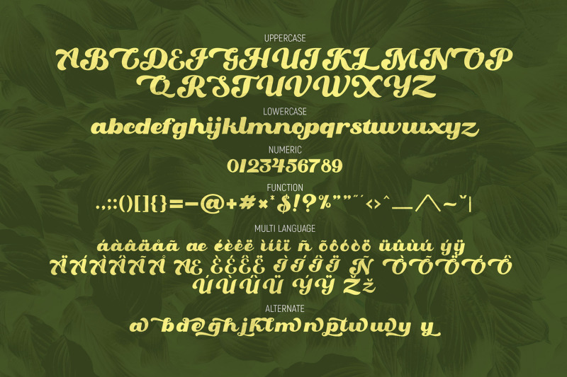 oaklash-retro-bold-script-font