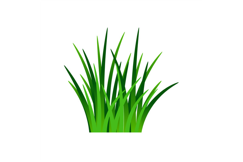 dark-green-grass-isolated-on-white