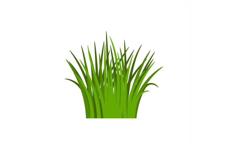 light-green-grass-isolated-on-white