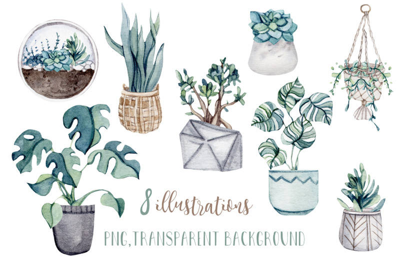 watercolor-home-plants-illustrations
