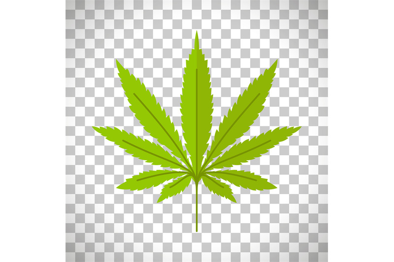 marijuana-leaf-on-transparent-background